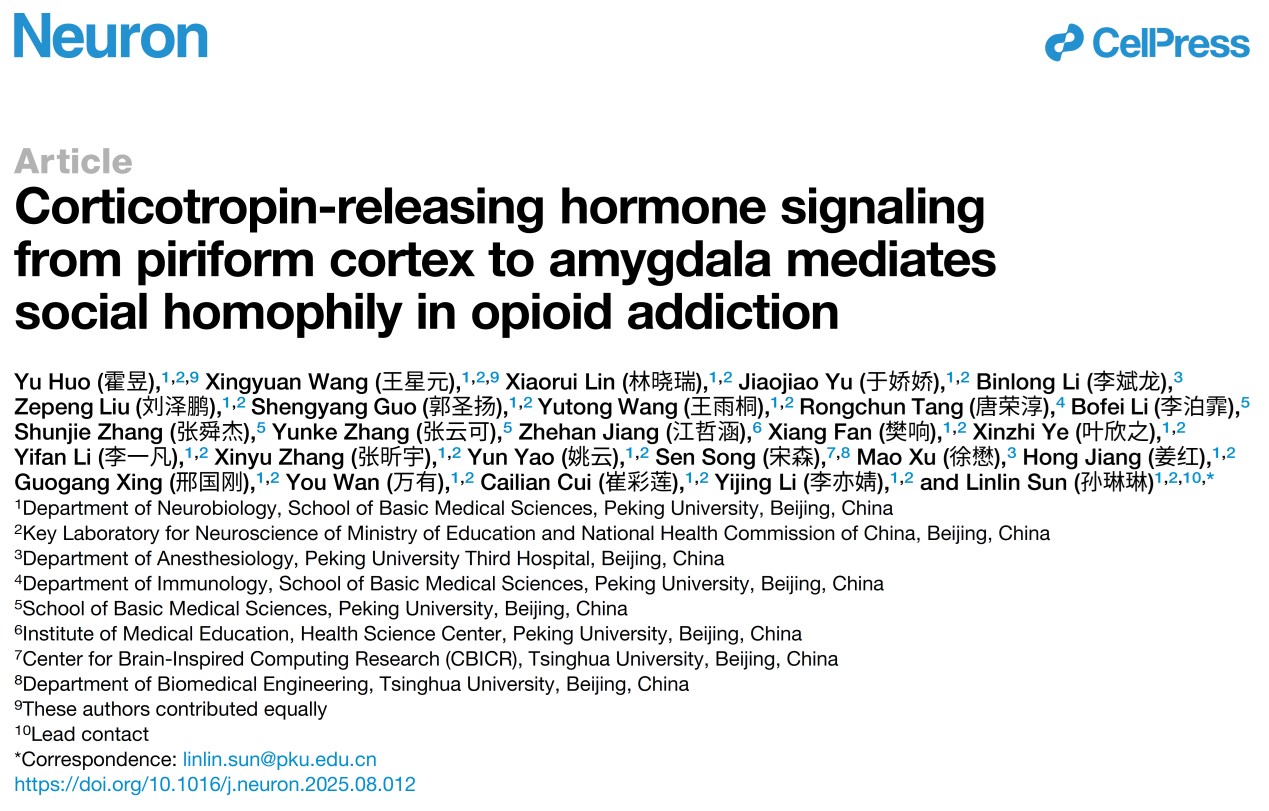 87f2917afd1b4abea04c7fea3718bbb7.jpg 图片1.jpg